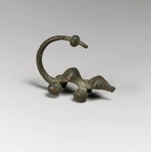 Fibula, serpentine type