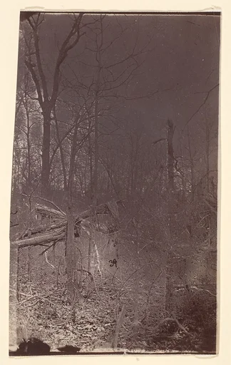 [The Wilderness Battlefield]
