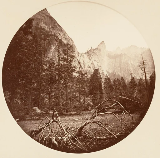 [Yosemite National Park, California]