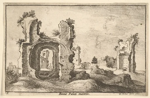 Palati maioris (Palatine Palace, Rome), from "Roman Ruins"