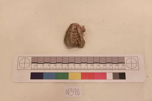 Stucco Fragment