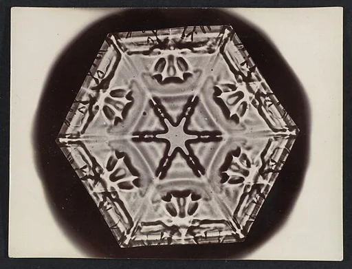 [Snow Crystal]