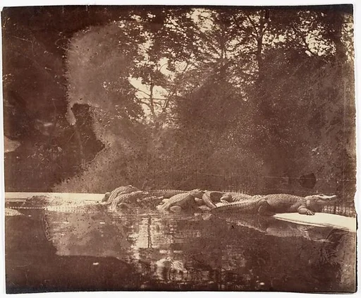 Jardin des Plantes