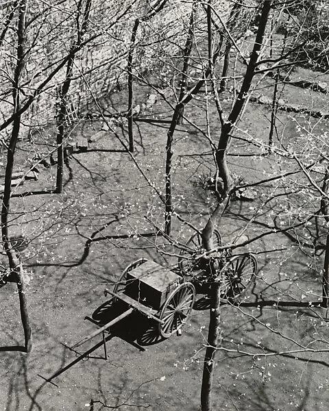 Beekman Terrace, New York — André Kertész|Igor Bakht