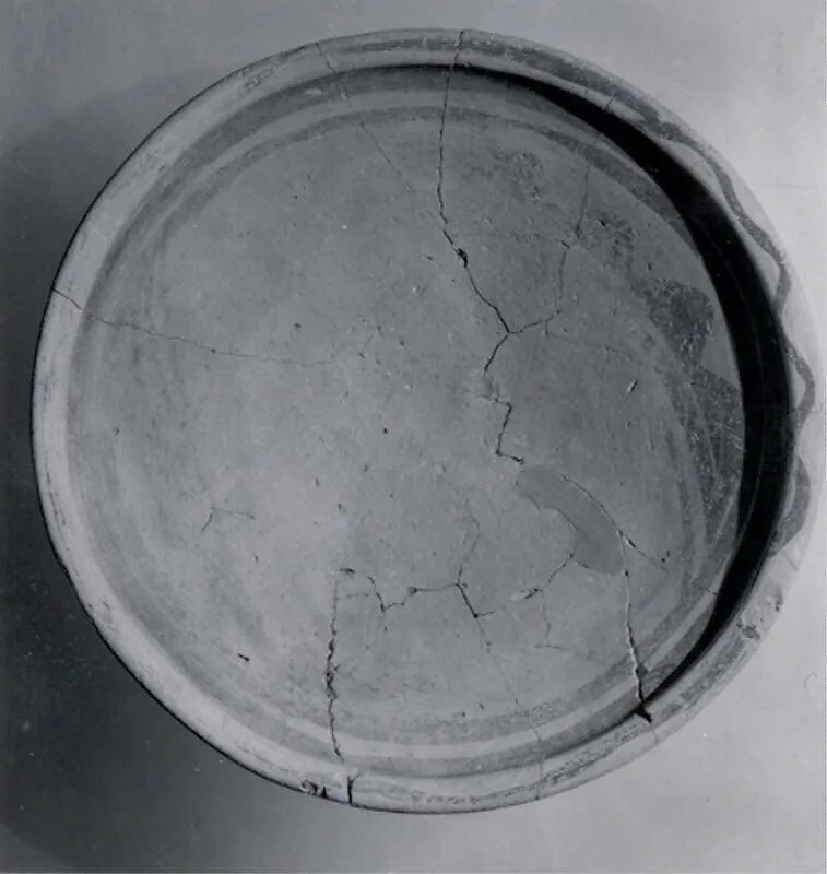 Dish — Unknown