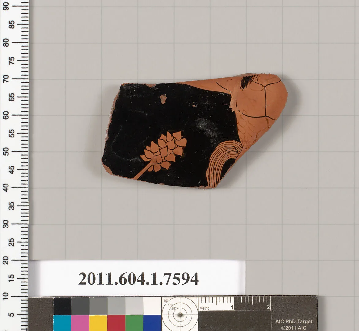 Terracotta fragment of a kylix (drinking cup) — Unknown