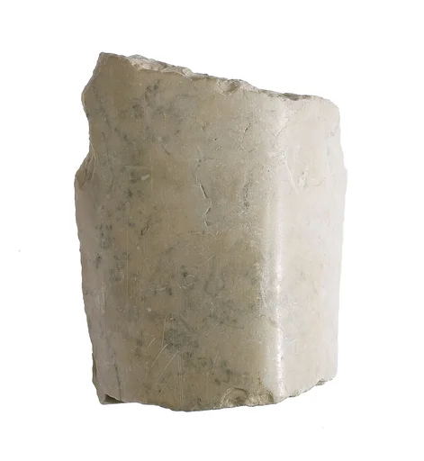 Arm or leg (?) with prominent long bone