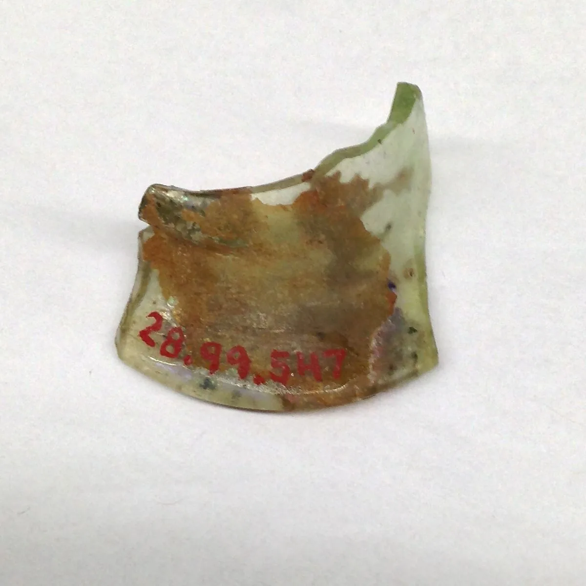 Fragment — Unknown