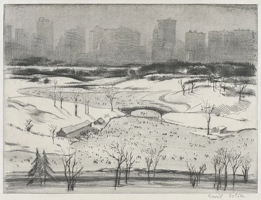 Central Park, the Lake in Winter