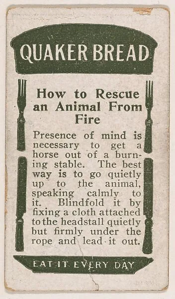 How to Rescue an Animal From Fire, No. 16, card verso, bakery insert card from the How To Do It series (D45), issued by the Welle-Boettler Bakery Company — Welle-Boettler Bakery Company