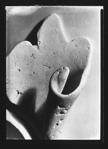 [Shell Study]
