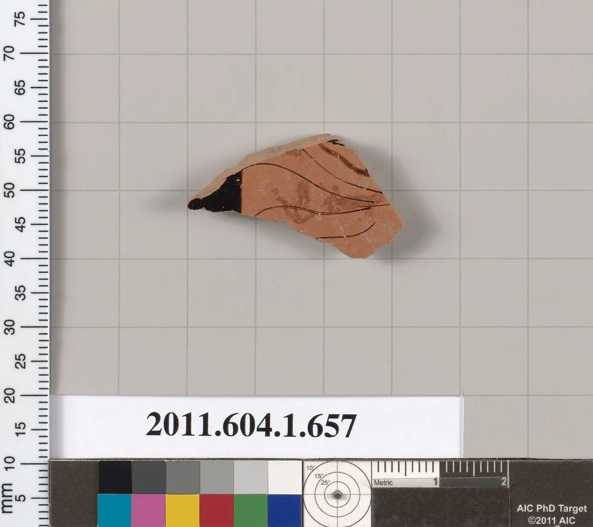 Terracotta fragment of a kylix (drinking cup) — Unknown