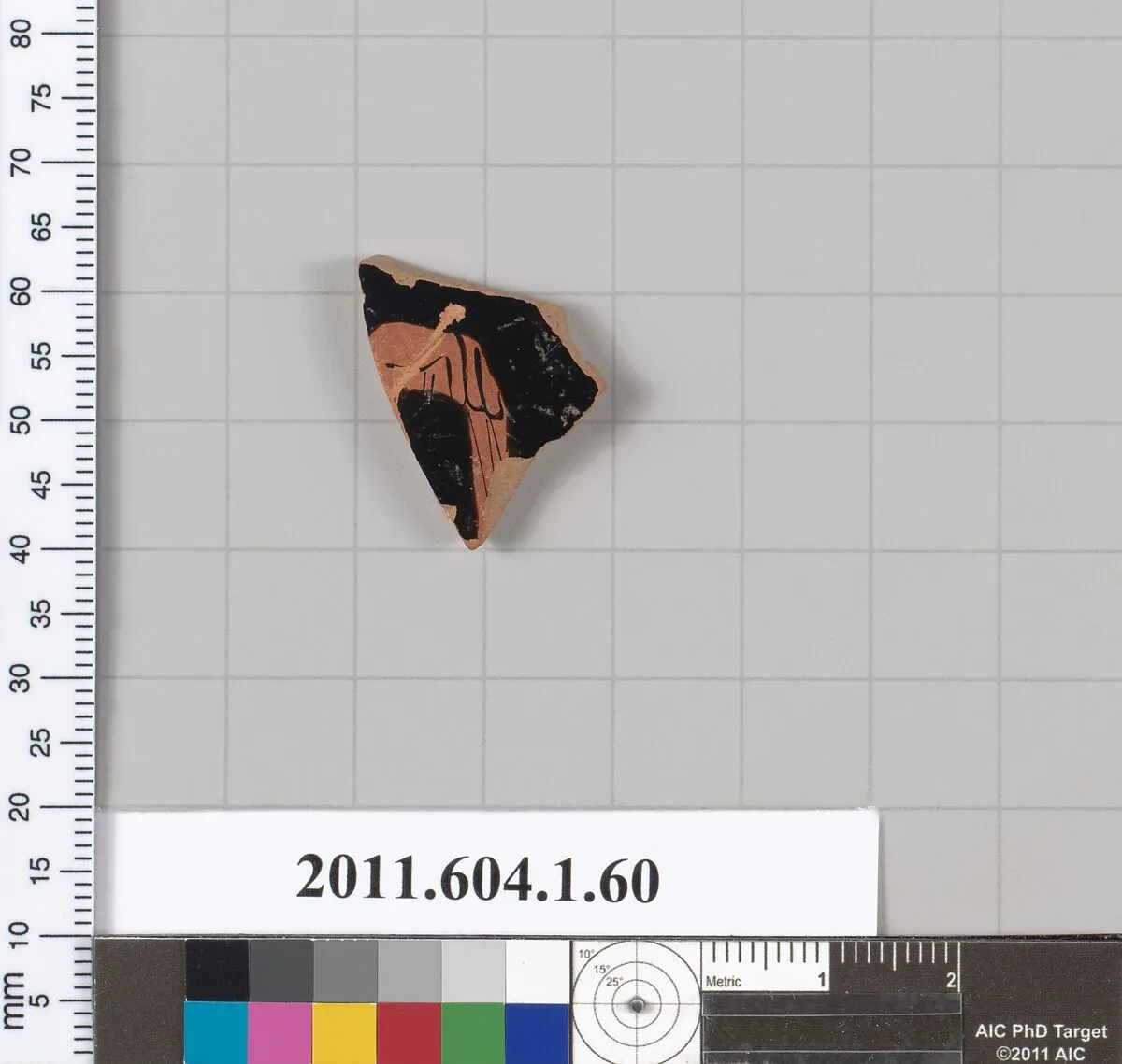 Terracotta fragment of a kylix (drinking cup) — Unknown