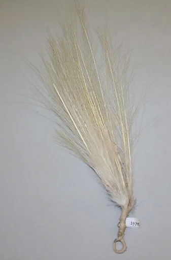 Aigrette