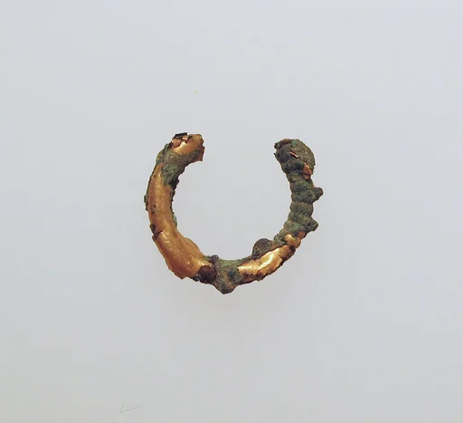 Earring