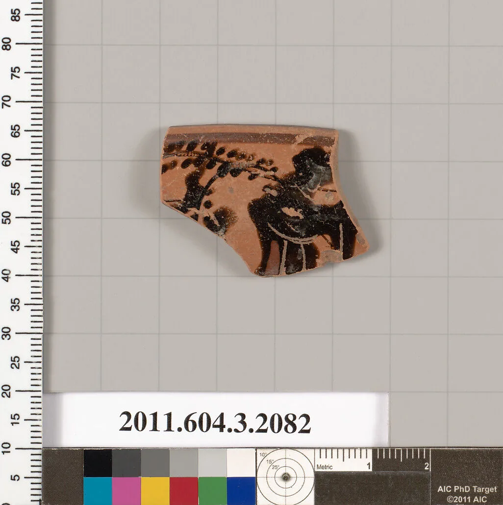 Terracotta rim fragment of a kylix (drinking cup) — Unknown