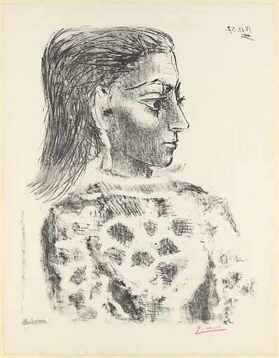 Bust with Check Cloth Blouse