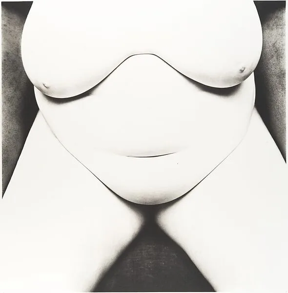Nude No. 154 — Irving Penn
