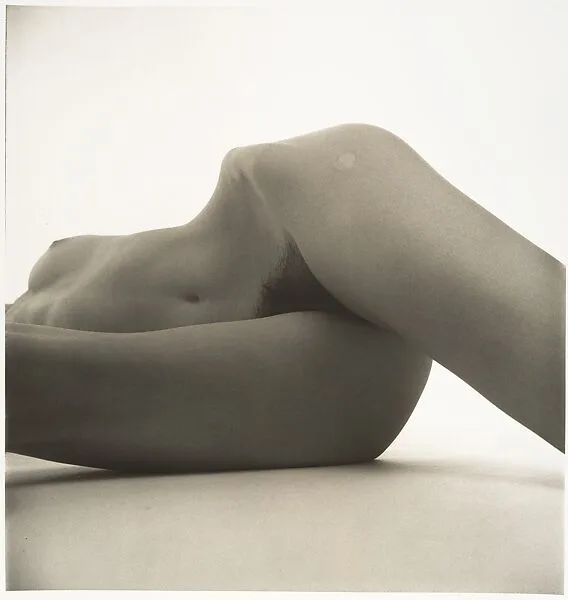 Nude No. 42 — Irving Penn