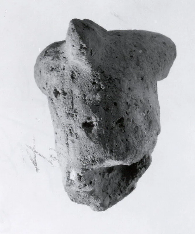 Fragment of animal figurine — Unknown