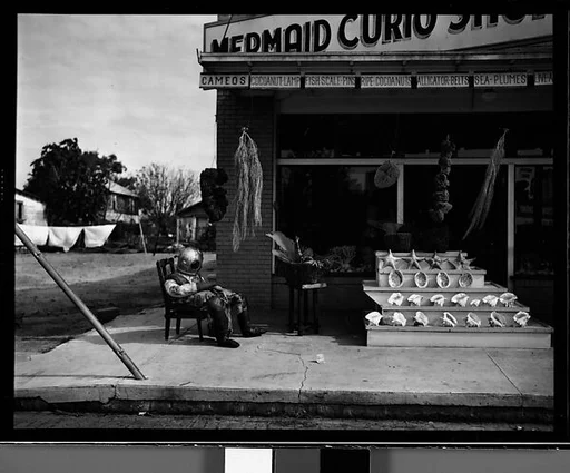 [Mermaid Curio Shoppe, Florida]