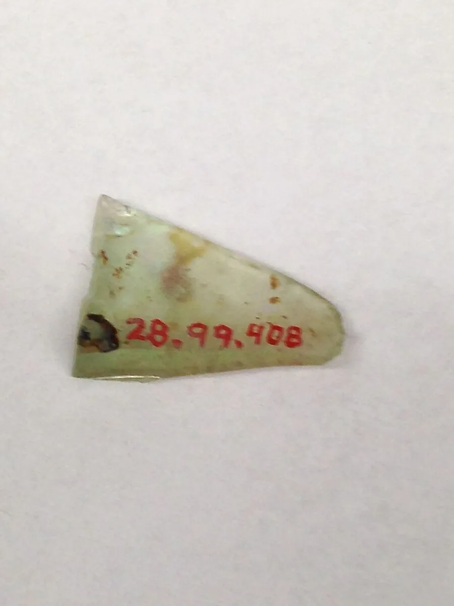 Fragment — Unknown
