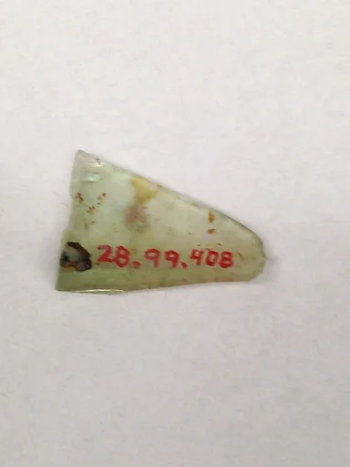 Fragment