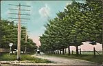 Pine Road near State Hospital, Norwich, Conn.