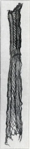 Veil (?)