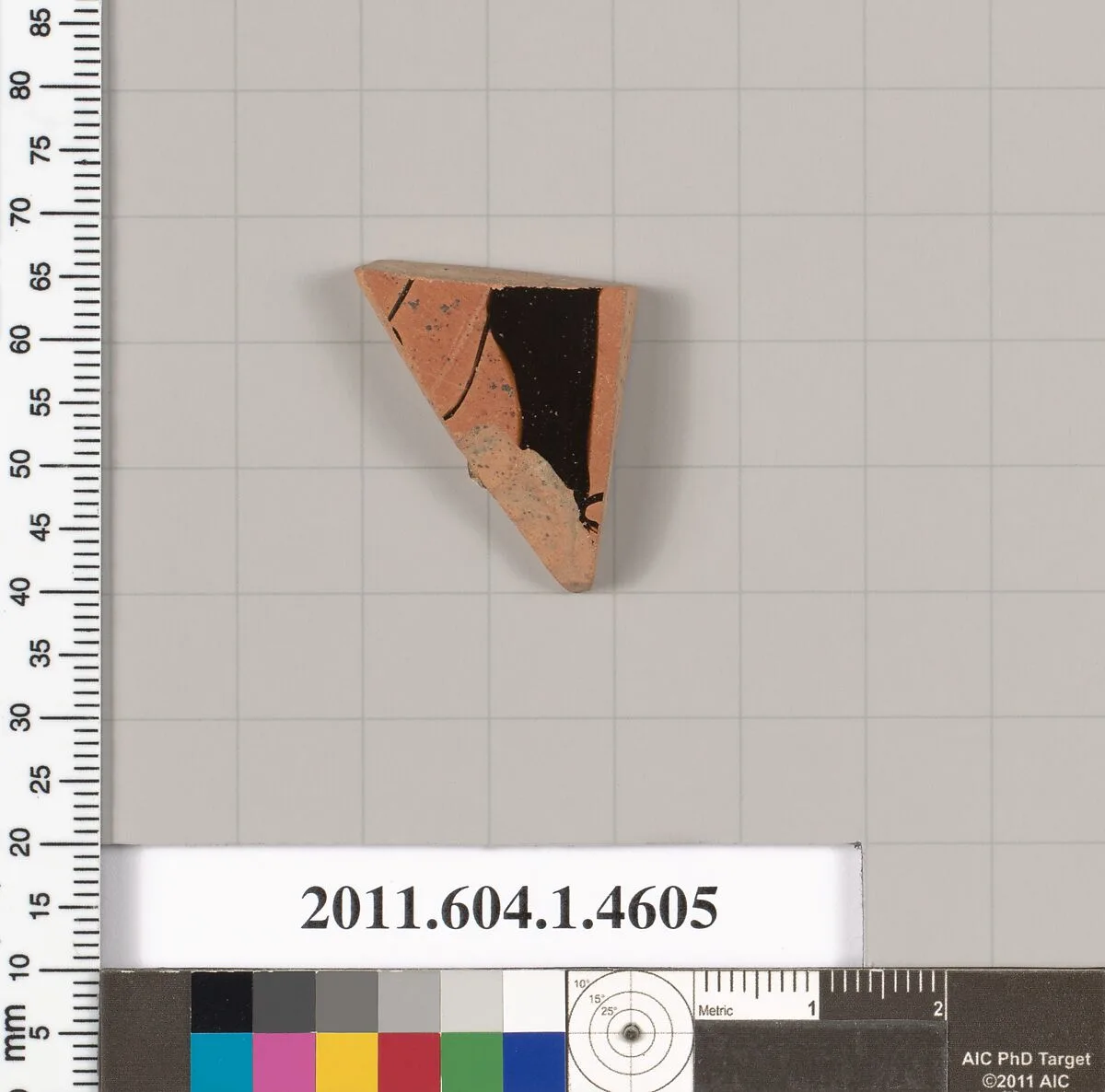 Terracotta fragment of a kylix (drinking cup) — Unknown
