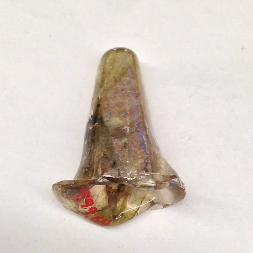 Foot of a Vessel