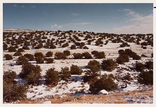 New Mexico Landscape #29A