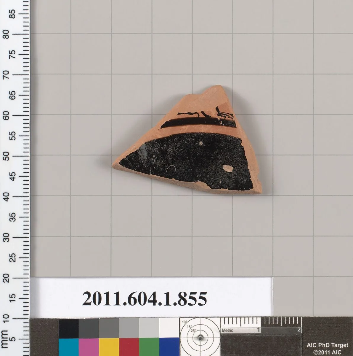Terracotta fragment of a kylix (drinking cup) — Unknown