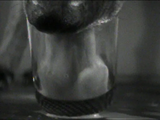 Drinking Milk