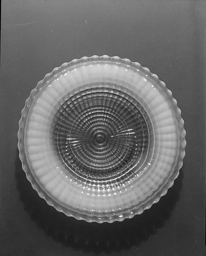 Dish