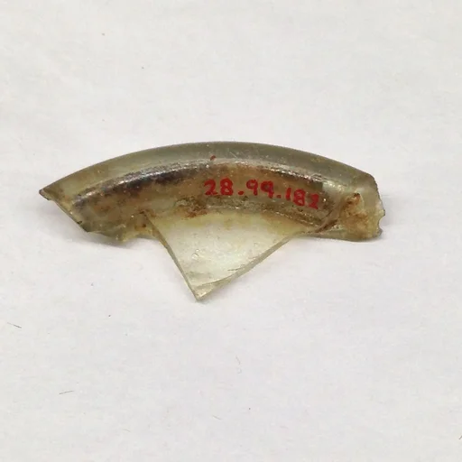 Fragment