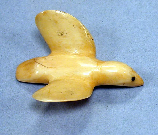 Walrus Ivory Snow Gull