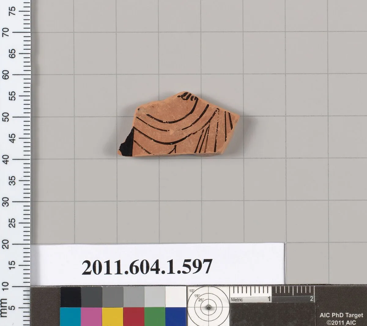 Terracotta fragment of a kylix (drinking cup) — Unknown