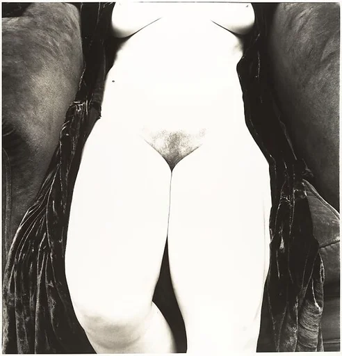 Nude No. 119