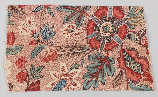 Fragment of printed cotton