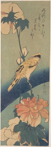 歌川広重画 芙蓉に高麗鶯|Black-naped Oriole Perched on a Stem of Rose Mallow