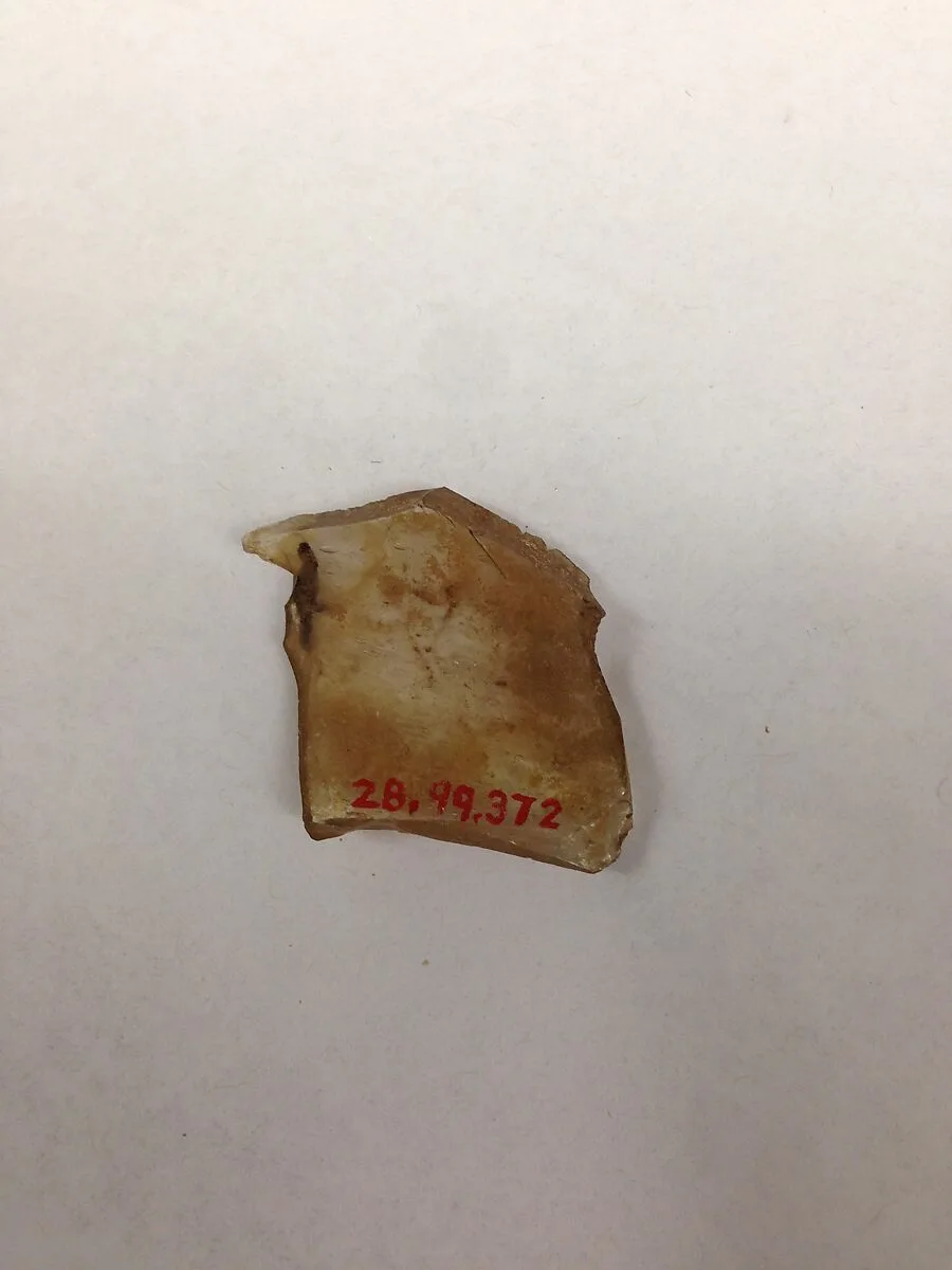 Fragment — Unknown