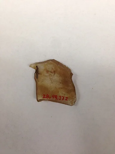 Fragment