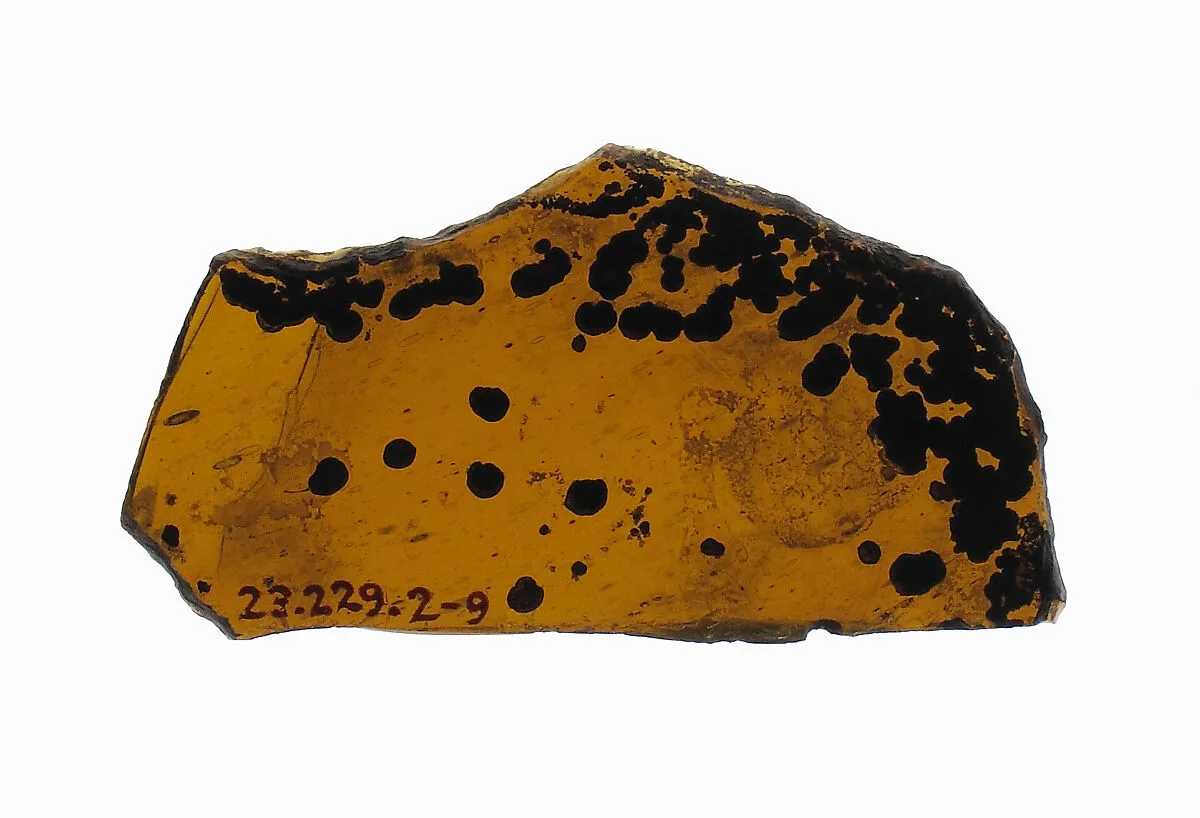 Glass Fragment — Unknown