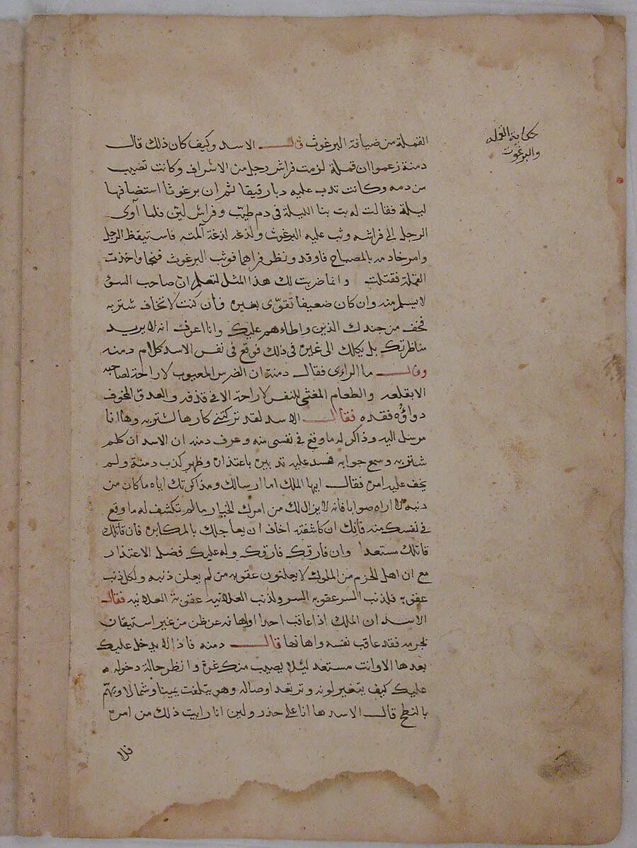 Page of Calligraphy from a Kalila wa Dimna — Unknown
