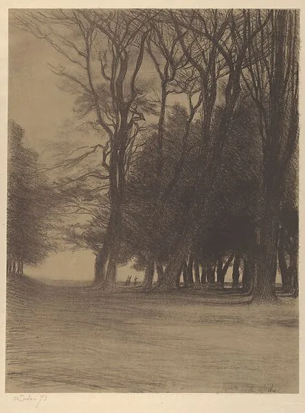 Cluster of Trees (Bouquet d'arbres) — Charles-Marie Dulac|André Marty