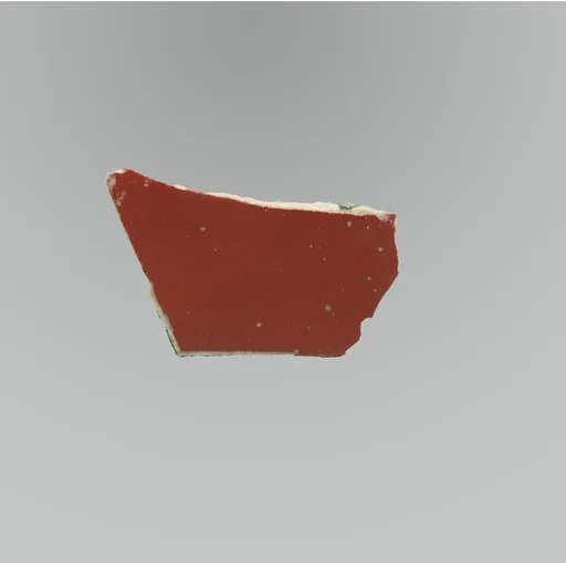 Glass monochrome dish fragment