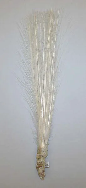 Aigrette — Unknown