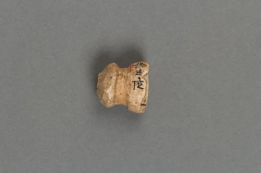 装身具|Body ornament