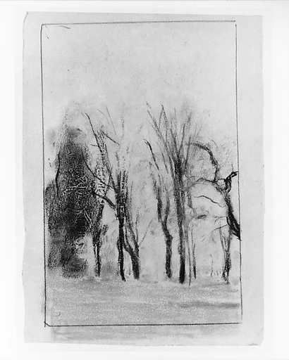 Trees in Spring